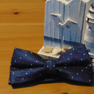 nice-navy-with-small-red-and-white-dot-self-bow-tie